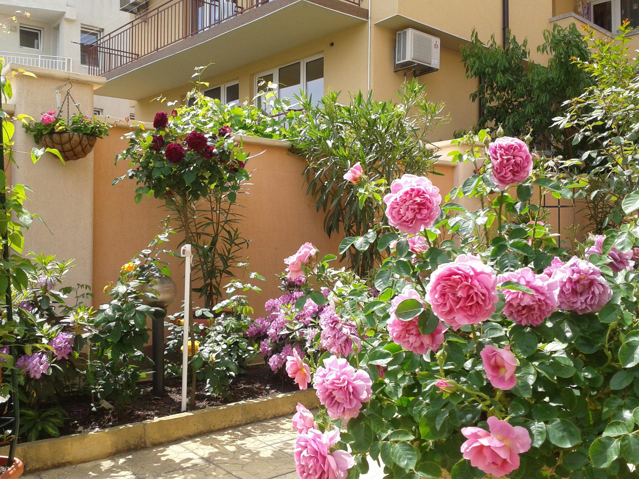 Hotel Chuchulev Sozopol Exterior photo