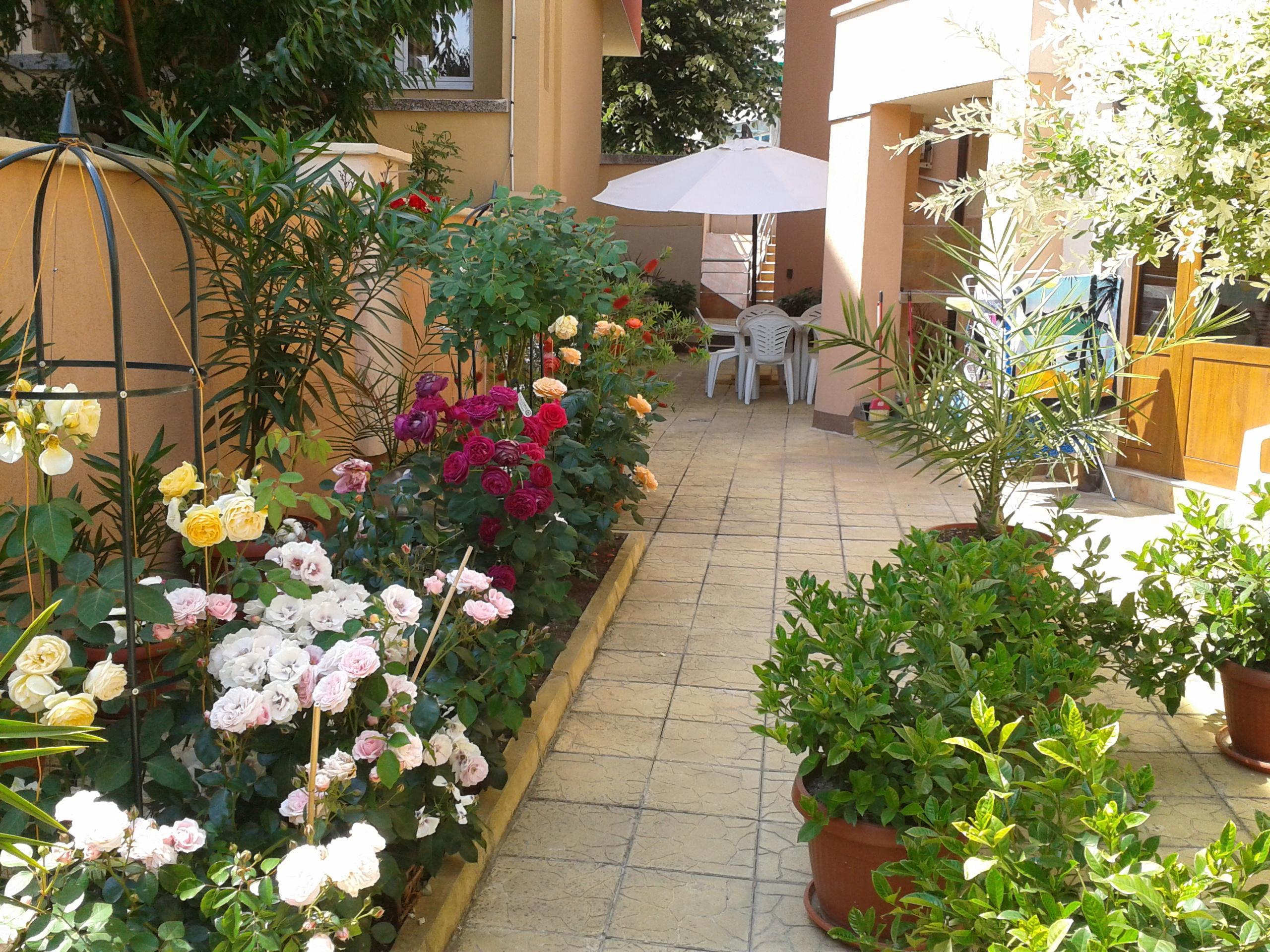 Hotel Chuchulev Sozopol Exterior photo