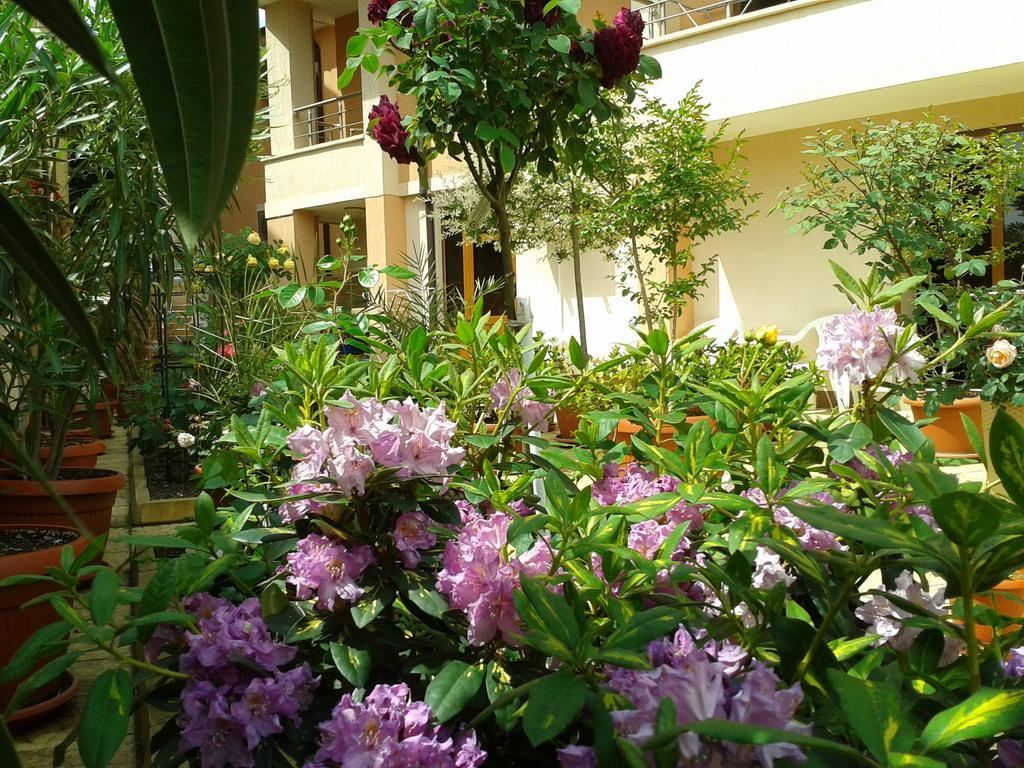 Hotel Chuchulev Sozopol Exterior photo